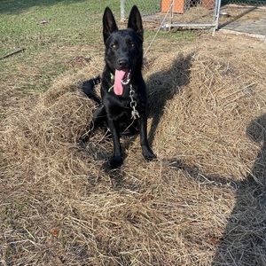 Meet your Posher, Jerry